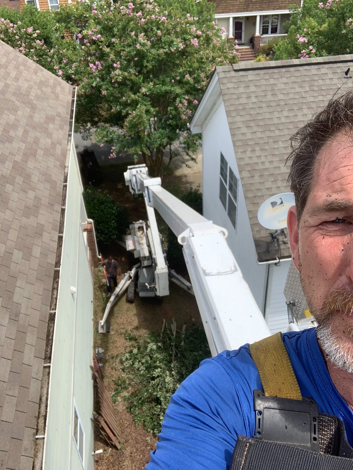 Tree Removal