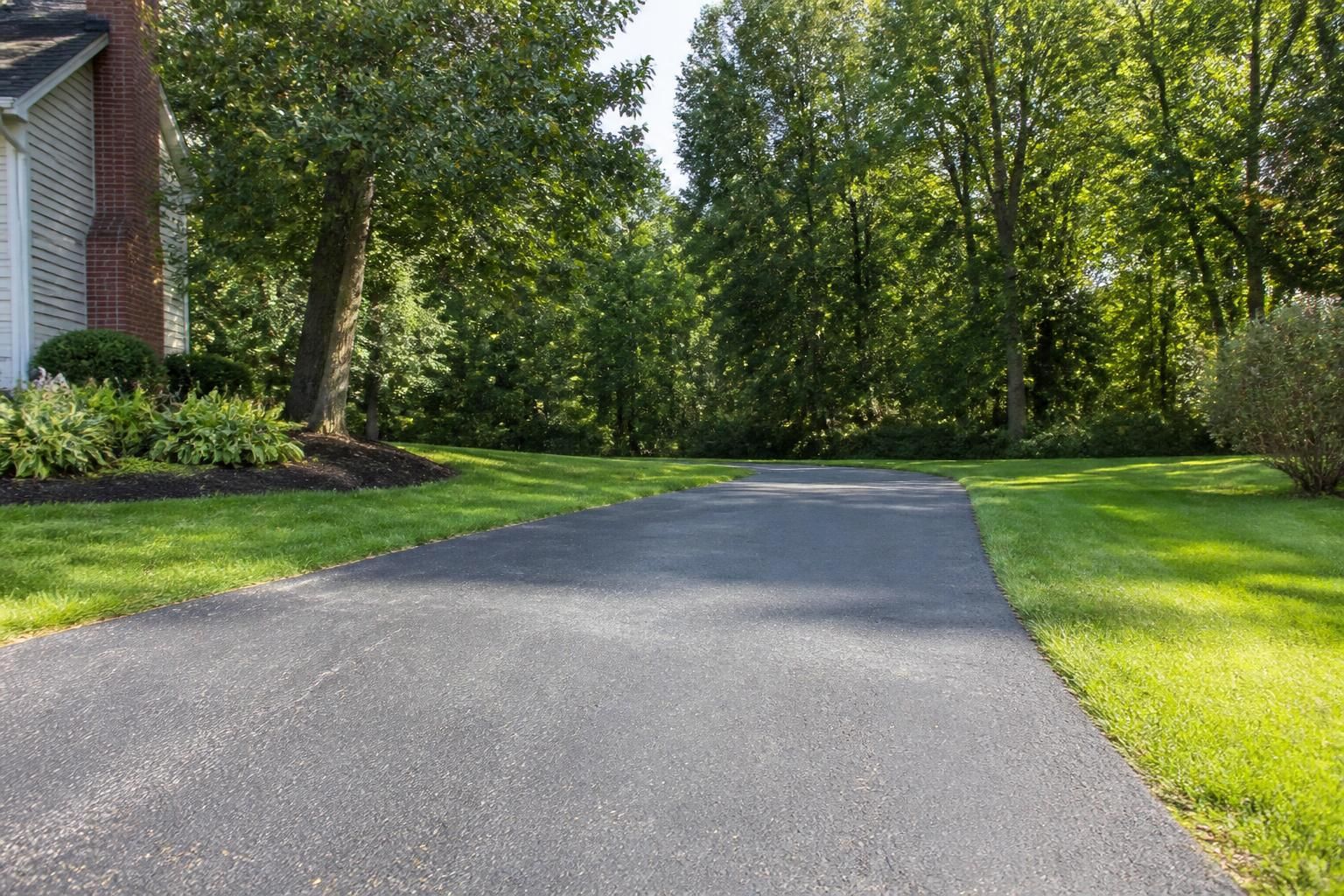 Driveway cleared after fallen tree removal.